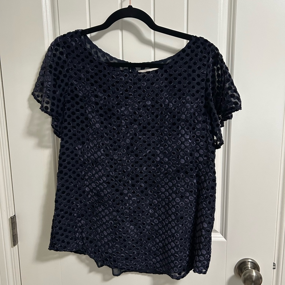 Loft flutter sleeve- Navy Blue Textured Women's Top
4